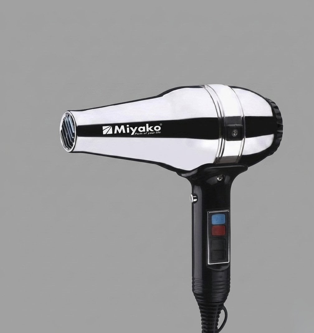 Professional Hair Dryer